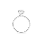 #Select Color_White Gold 