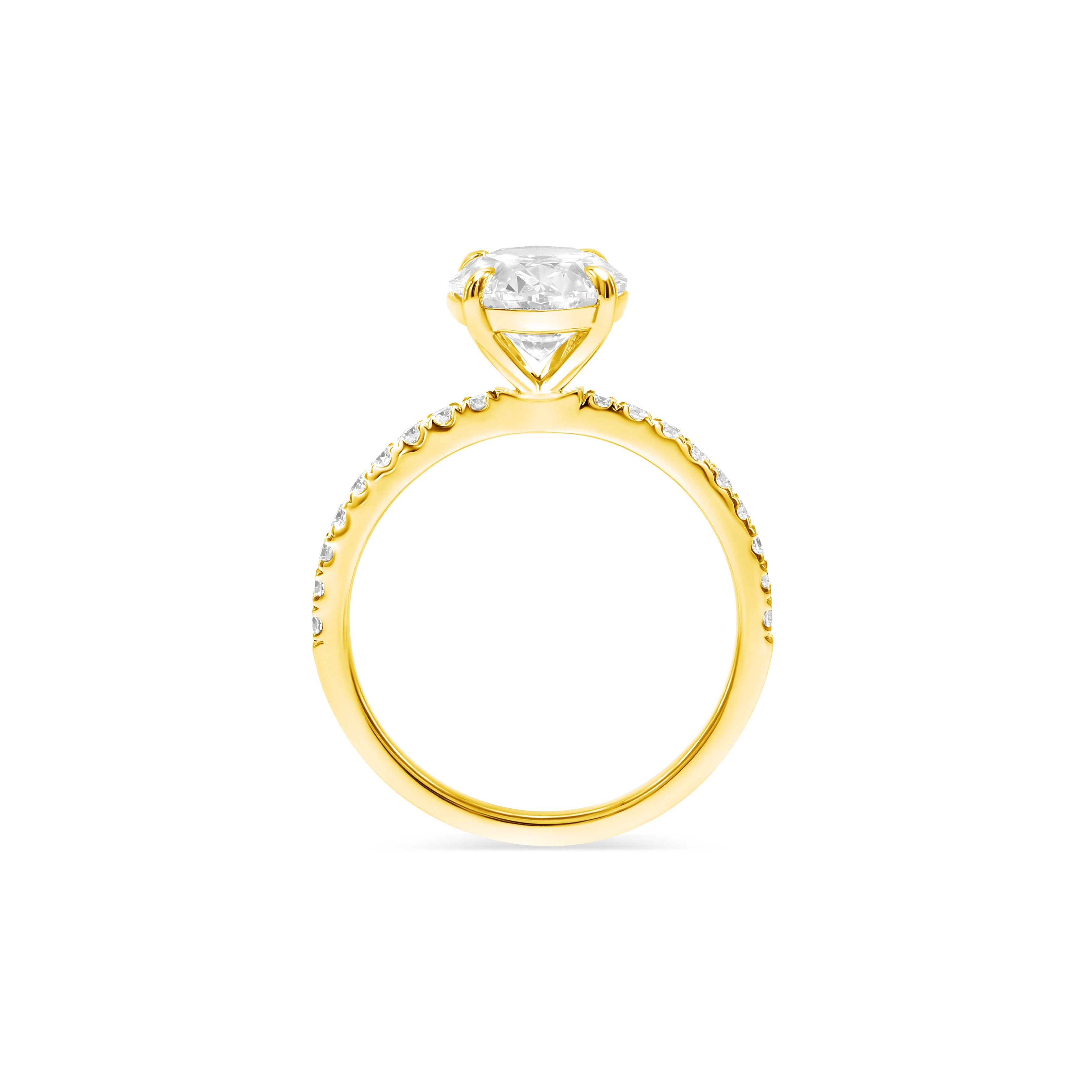 #Select Color_Yellow Gold 