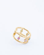 La Vanessa arc-en-ciel