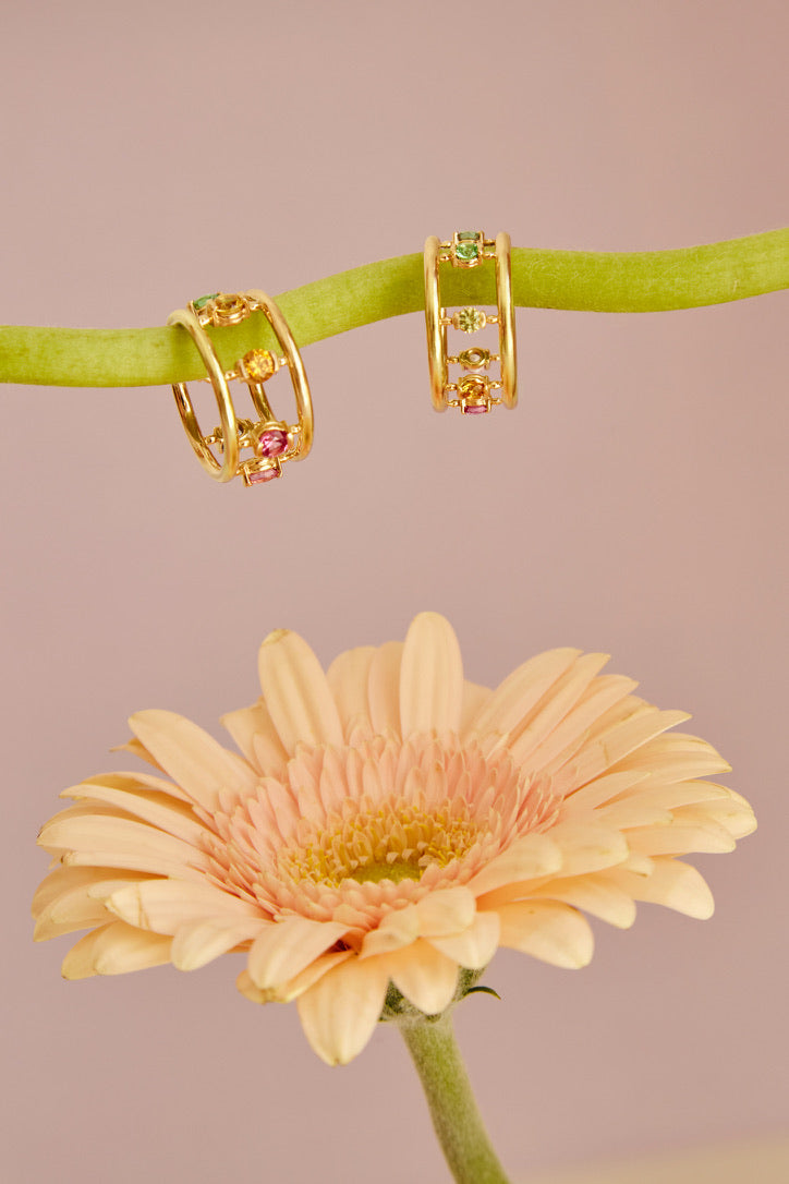 La Vanessa arc-en-ciel