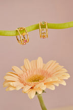 La Vanessa arc-en-ciel