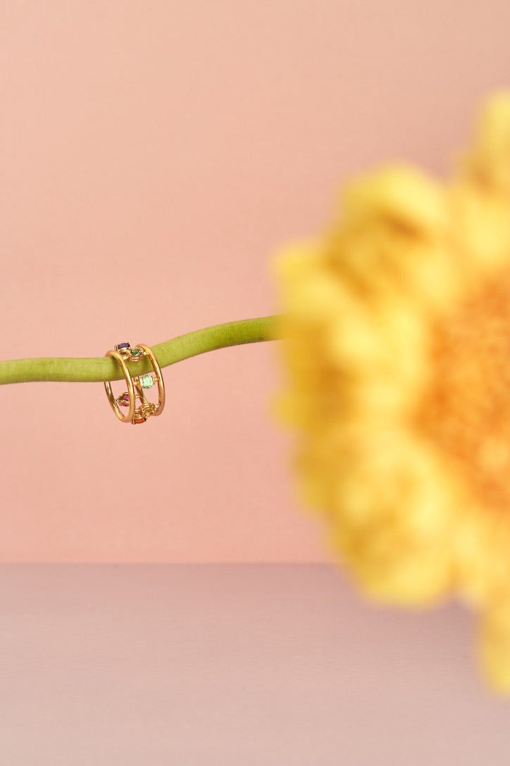 La Lilane arc-en-ciel