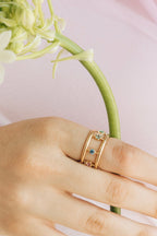 La Vanessa arc-en-ciel