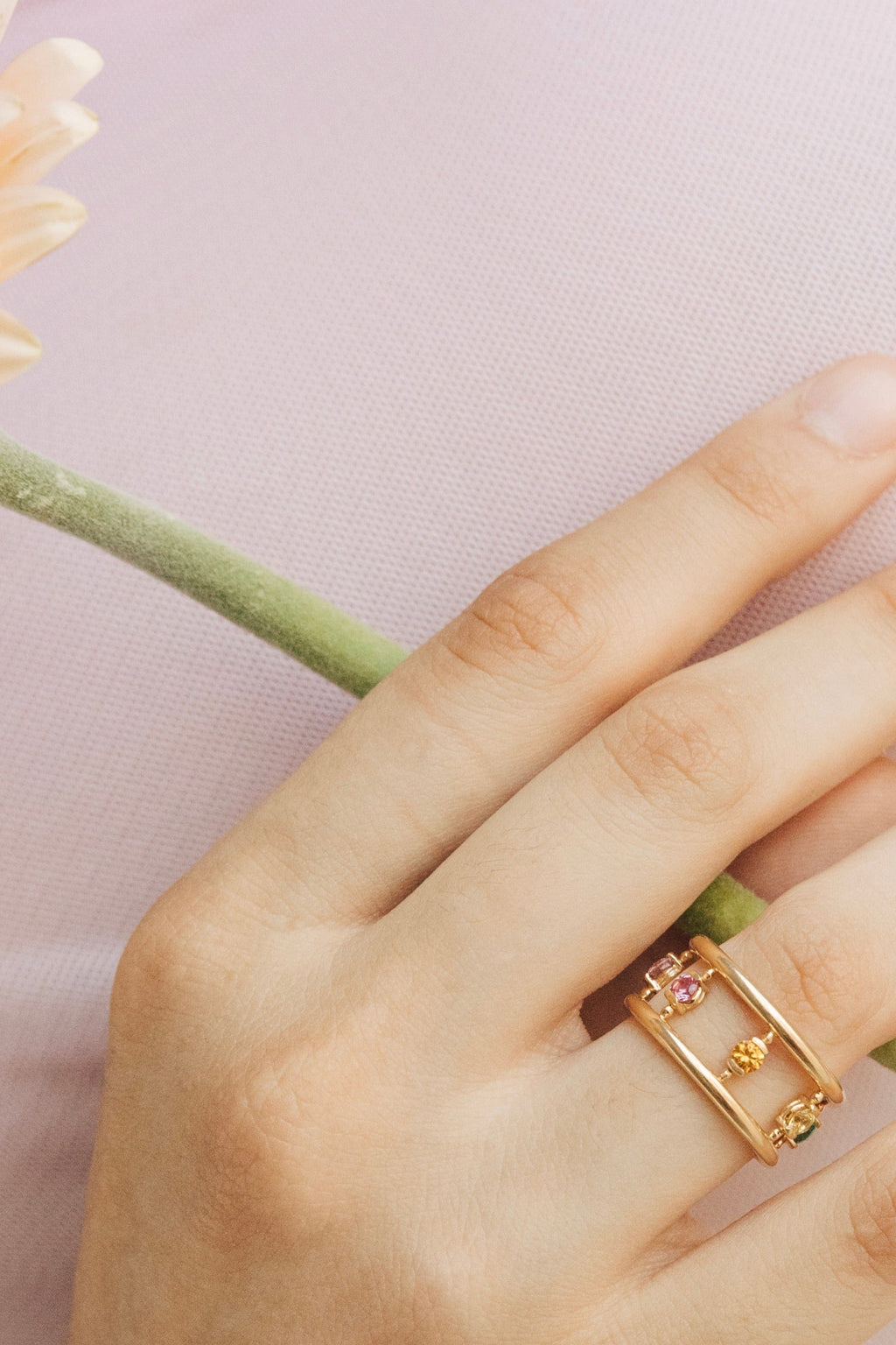 La Vanessa arc-en-ciel